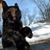 Patricia Raker's profile image