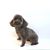 Linda Bernard's profile image