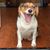 Christy Newman Kimbrough's profile image