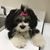 Patricia Waldrup's profile image