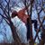 Laura Konner's profile image