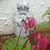 Susan Johnson-Carentz's profile image