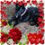 Jennifer Martinelli-Sokolowski's profile image