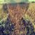 Ashley Finke's profile image