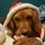 Kristin Merritt Rosenblum's profile image