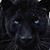 Barb Hackney-Prim's profile image