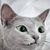 Teresa Selby's profile image