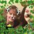 Maureen Flavin's profile image