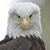 Thomas Regan's profile image