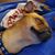 Mark Goslin's profile image