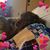 Debbie Campbell's profile image