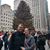 Jackie Benko's profile image
