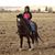 Trish Burkholder Yoder's profile image
