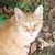 Jean-Elise Cardin's profile image
