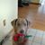 Conney Sue Rowe's profile image