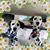 Beth Crete Brennan's profile image