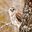 Yonatan's profile image
