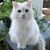 Terrie Clark's profile image
