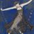 Marcia Swanberg's profile image
