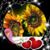 Adelaida Ronda's profile image