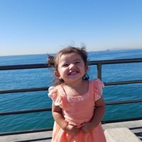 Stephanie Ortiz's profile image