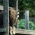 Ron Openshaw's profile image