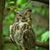 Melinda Mallery Reeder's profile image