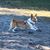 Kelly Turner Williamson's profile image