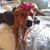 Krysten Blount's profile image