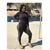 Sham'Bre Golsten's profile image