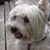 Beverly Snider's profile image