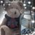 Lana Lerner Killik's profile image