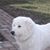 Jami Renee Kargula Lane's profile image