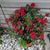 Pam Tivner's profile image