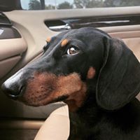 Kasia Seymore's profile image