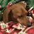 Donna Nance's profile image