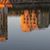 Qiang Lin's profile image