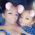 Carrie Gallegos's profile image