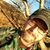 Chris Daniels's profile image