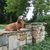 Mariel Yarbrough's profile image