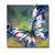 Lori Polka Comley's profile image