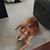 Pamela Barwa's profile image