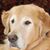 Gerry Ragucci's profile image
