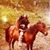Sue Weinberg's profile image