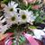 Karen Culler's profile image