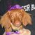 Linda Tyrrell Roberts's profile image