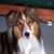 Vicky Goddard-Rusconi's profile image