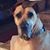 Clay Edwards's profile image