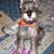 Lynn Killinger's profile image