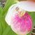 Sue Zellmer's profile image